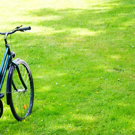 Am Terrassenufer Otel 4*